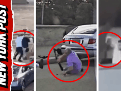 Quem são os heróis que lutaram contra os terroristas durante o tiroteio em massa em Bondi Beach? Quem são os heróis que lutaram contra os terroristas durante o tiroteio em massa em Bondi Beach?