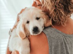 Querida Abby: Minha amiga e eu não nos falamos porque ela se recusou a cuidar do meu cachorro Uma mãe e um filho conversando seriamente enquanto estão sentados na cama.