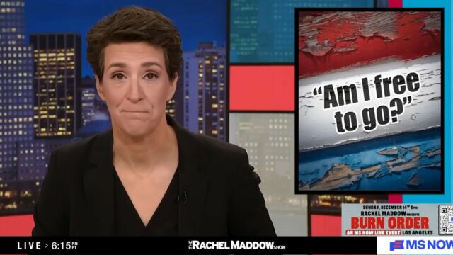 Rachel Maddow argumenta que a resistência contra Trump está funcionando: ele está 'tão fraco e impopular como sempre foi' | Vídeo
