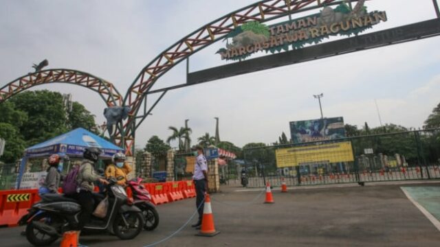 Ragunan fica lotado durante as férias de Natal, prevê-se que os visitantes lotem até o Ano Novo
