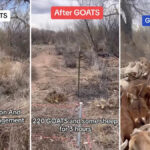 Yahoo lifestyle home