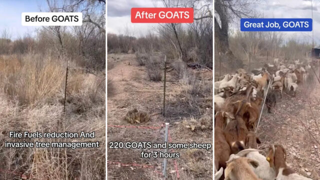 Yahoo lifestyle home