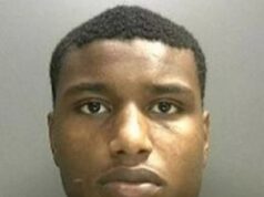 Rapper preso por seu papel na brutal guerra de gangues ostenta estilo de vida luxuoso e sai com Amir Khan em Dubai – poucos dias depois de ser deportado da Grã-Bretanha para a Jamaica Kimani Shaw (na foto) é o aclamado rapper 'Marnz Malone', que foi deportado para a Jamaica no meio de uma pena de onze anos de prisão como parte de um esforço para liberar espaço no sitiado sistema prisional do Reino Unido