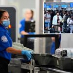 A TSA examinou um recorde de 3,13 milhões de passageiros nos aeroportos dos EUA no domingo, de acordo com a agência.