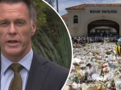 ‘Reformas mais difíceis sobre armas de fogo’ na Austrália serão introduzidas esta semana Primeiro-ministro de NSW, Chris Minns