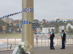Relatório: Proprietário de uma loja de frutas síria lutou com arma no atirador de Bondi Beach em Sydney Relatório: Proprietário de uma loja de frutas síria lutou com arma no atirador de Bondi Beach em Sydney