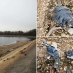 Reservatório de Nova York cai 2,5 metros, revelando pacote sinistro embrulhado em fita adesiva