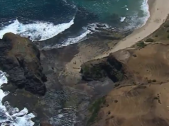 Resgate de roer as unhas depois que turista cai de um penhasco na água Um turista foi hospitalizado depois de cair seis metros de um penhasco no Parque Nacional da Península Mornington, em Victoria.