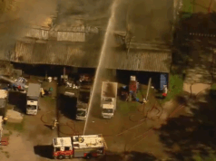 Restos mortais encontrados em incêndio em armazém de caridade em Brisbane Restos mortais encontrados em incêndio em armazém de caridade em Brisbane