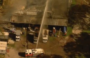 Restos mortais encontrados em incêndio em armazém de caridade em Brisbane Restos mortais encontrados em incêndio em armazém de caridade em Brisbane