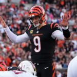 Cincinnati Bengals QB Joe Burrow