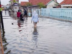 Rob Flood submerge milhares de casas em três aldeias em Losari Brebes, Java Central Rob Flood submerge milhares de casas em três aldeias em Losari Brebes, Java Central