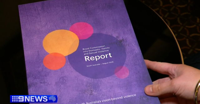 SA adota quase todas as recomendações da comissão real e compromete US$ 674 milhões para abordar DV
