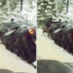 Um SUV balançando em um penhasco coberto de neve enquanto uma pessoa tenta ajudar.