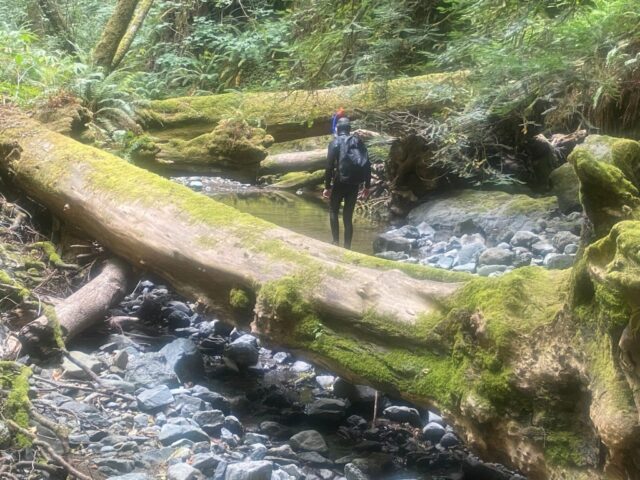 Um celeiro está em uma colina na Jenner Headlands Preserve, segunda-feira, 12 de agosto de 2024. (Darryl Bush / For The Press Democrat)