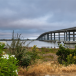 Scotts Valley Tribe avança cassino temporário em Vallejo em meio a disputas legais. Uma longa ponte de concreto se estende por um canal pantanoso perto de Vallejo, com pântanos e flores silvestres em primeiro plano sob um céu nublado.