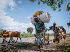 Semana em Imagens: Dos confrontos Camboja-Tailândia aos protestos na Grécia Semana em Imagens: Dos confrontos Camboja-Tailândia aos protestos na Grécia
