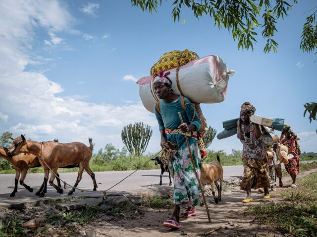 Semana em Imagens: Dos confrontos Camboja-Tailândia aos protestos na Grécia Semana em Imagens: Dos confrontos Camboja-Tailândia aos protestos na Grécia