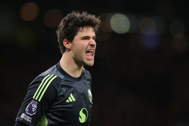 Fulham x Manchester City - Premier League