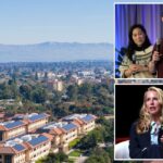 Subúrbio rico do Vale do Silício pretende reprimir compostos de titãs bilionários da tecnologia