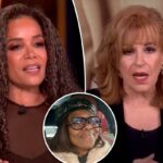 Sunny Hostin e Joy Behar 'arruinaram' a venda de roupas de caridade de férias de Deborah Roberts para funcionários juniores