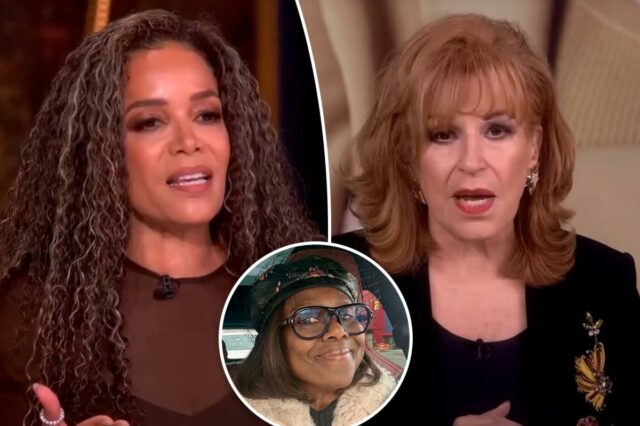 Sunny Hostin e Joy Behar 'arruinaram' a venda de roupas de caridade de férias de Deborah Roberts para funcionários juniores
