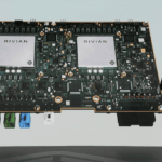 gato piscante pássaro verde