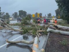 Tempestade do Pineapple Express encharca o sul da Califórnia – Quando a chuva vai acabar? Tempestade Satélite
