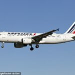 Passageiros do voo AF 7721 de Paris para Ajaccio viveram uma situação de pesadelo