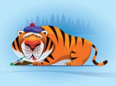 Tiger Global planeja futuro de risco cauteloso com um novo fundo de US$ 2,2 bilhões Tiger Global planeja futuro de risco cauteloso com um novo fundo de US$ 2,2 bilhões