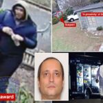 Tiroteios na Universidade Brown, MIT 'quebrado' por herói sem-teto agora 'com direito' a recompensa de US $ 50 mil: federais