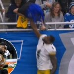 DK Metcalf pareceu atingir um torcedor durante o jogo dos Steelers contra os Lions em 21 de dezembro.