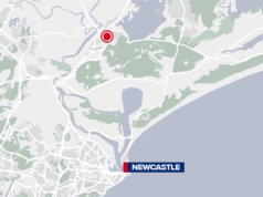 Três, incluindo um adolescente ferido em ataque de cachorro em NSW Três, incluindo um adolescente ferido em ataque de cachorro em NSW