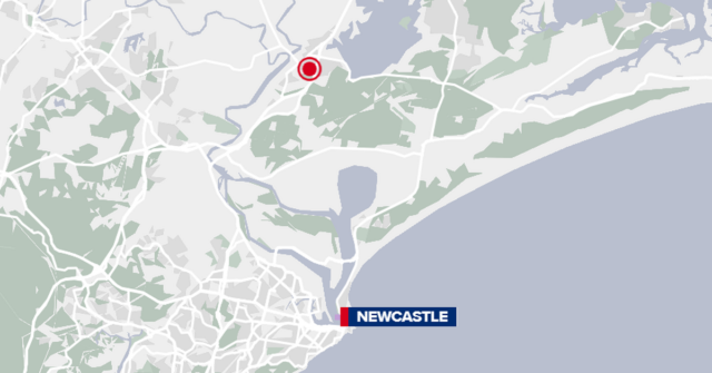 Três, incluindo um adolescente ferido em ataque de cachorro em NSW
