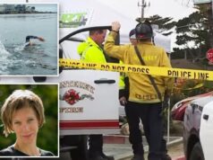 Triatleta feminina teme ser vítima de ataque de tubarão após desaparecer na costa da Califórnia Triatleta feminina teme ser vítima de ataque de tubarão após desaparecer na costa da Califórnia