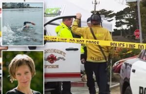 Triatleta feminina teme ser vítima de ataque de tubarão após desaparecer na costa da Califórnia Triatleta feminina teme ser vítima de ataque de tubarão após desaparecer na costa da Califórnia