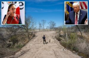 Trump ameaça tarifa de 5% ao México por violações do tratado de água que afetam agricultores do Texas Trump ameaça tarifa de 5% ao México por violações do tratado de água que afetam agricultores do Texas