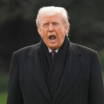 Trabalhadores cambojanos e outros imigrantes cortam flores de cannabis nas Loving Kindness Farms em Gardena, Califórnia, quinta-feira, 4 de abril de 2019. O Senado da Califórnia decidiu na quinta-feira preencher uma lacuna de licenciamento para os produtores estaduais de maconha, o mais recente problema a atormentar o instável mercado legal. (Foto AP/Richard Vogel)