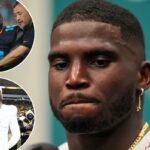 logotipo de fantasia azarão