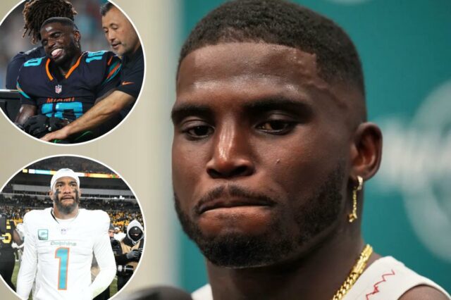 logotipo de fantasia azarão