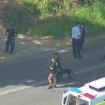 Um homem teria sido baleado em Eungella.