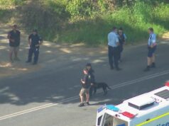 Um morto e dois feridos enquanto a polícia realizava uma caçada humana após tiroteio em NSW Um homem teria sido baleado em Eungella.
