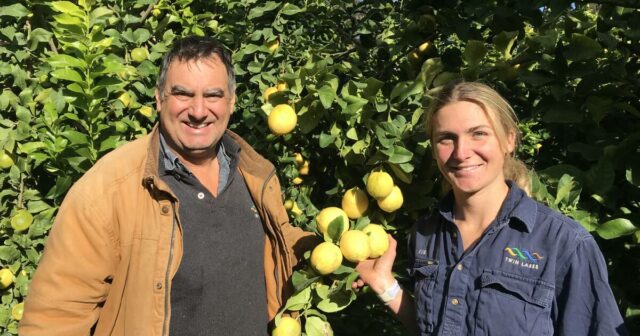 Um negócio para todas as idades entra a todo vapor na produção de frutas cítricas em Manjimup
