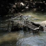 Uma cidade da Bay Area tentou um programa inovador para lidar com o problema do carrinho de compras abandonado. Aqui está o que aconteceu.