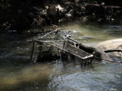 Uma cidade da Bay Area tentou um programa inovador para lidar com o problema do carrinho de compras abandonado. Aqui está o que aconteceu. Uma cidade da Bay Area tentou um programa inovador para lidar com o problema do carrinho de compras abandonado. Aqui está o que aconteceu.