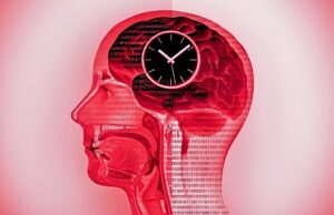 Uma dieta em estilo de jejum parece resultar em mudanças dinâmicas no cérebro humano Comida em uma placa de madeira em uma seção com talheres colocados como se fossem ponteiros de um relógio