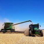 Uma propriedade pela qual vale a pena esperar na confiável área agrícola mista de Narembeen