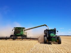 Uma propriedade pela qual vale a pena esperar na confiável área agrícola mista de Narembeen Uma propriedade pela qual vale a pena esperar na confiável área agrícola mista de Narembeen