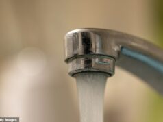 Use fronhas, filtros de café ou lençóis para fazer água potável em caso de apagões “instantâneos” no Reino Unido, alertam os principais médicos do Reino Unido Os britânicos serão incentivados a usar fronhas, lençóis ou filtros de café para produzir água potável no caso de um apagão prolongado no Reino Unido