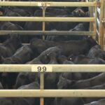 Usuários de quintal de venda ficam furiosos com o esgotamento do abastecimento de água potável